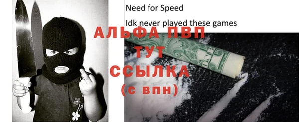 PSILOCYBIN Ладушкин