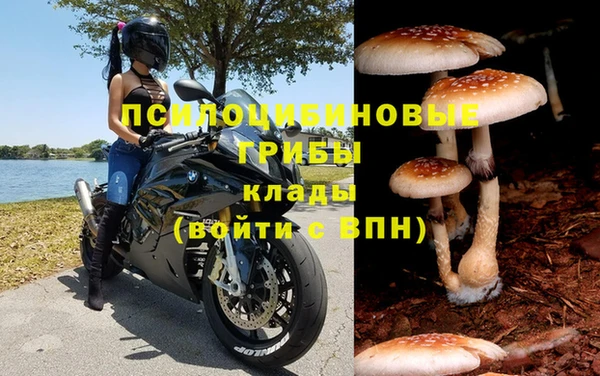 стафф Лабытнанги