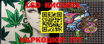 прущие грибы Ипатово
