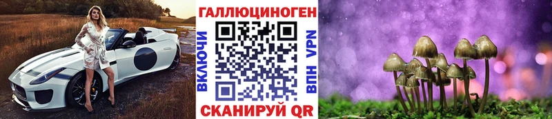 Галлюциногенные грибы Psilocybine cubensis  Тихвин 