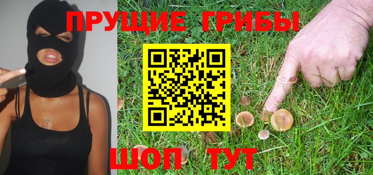 где можно купить   Вход с VPN  Тихвин  Галлюциногенные грибы мухоморы 